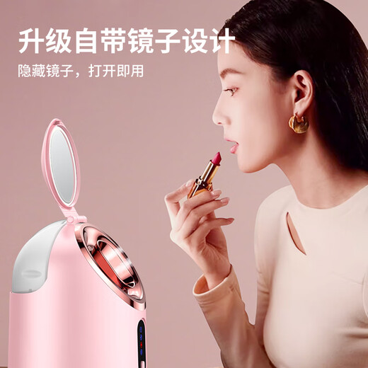 TrueX facial steamer hot and cold dual spray household facial moisturizing spray hydrating beauty instrument humidifier moisturizing nano mask hot spray facial steamer machine blackhead pore cleaner hot and cold three sprays 250 ml enlarged water tank + 3 sprays switchable facial steamer