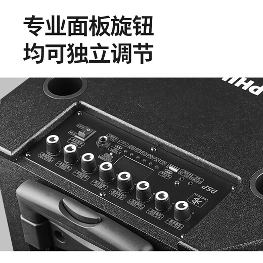 Philips (PHILIPS) SD170MAX 12-inch square dance audio outdoor stage high-power mobile portable trolley speaker wireless Bluetooth high-volume karaoke amplification with dual microphones