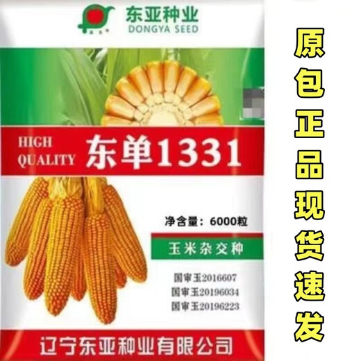 East Asia small steel gun Dongdan 1331 corn seed original first generation hybrid corn seed storage corn seed 2 bags/Dongdan 1331-about 6000 grains per bag
