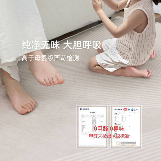 Pixel carpet living room 2025 new light luxury sofa floor mat without washing and erasable household waterproof bedroom thick Tianjin Qingqiang-13566 240cm*360cm [customized]