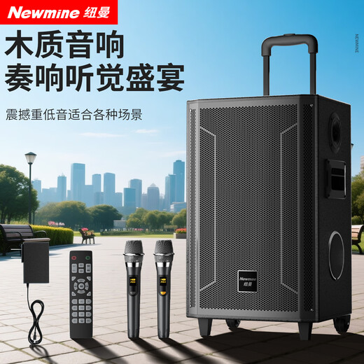 Newmine N530 12-inch square dance Bluetooth speaker high-power outdoor mobile portable trolley home karaoke high-volume wireless audio super long battery life dual microphone 7 speakers