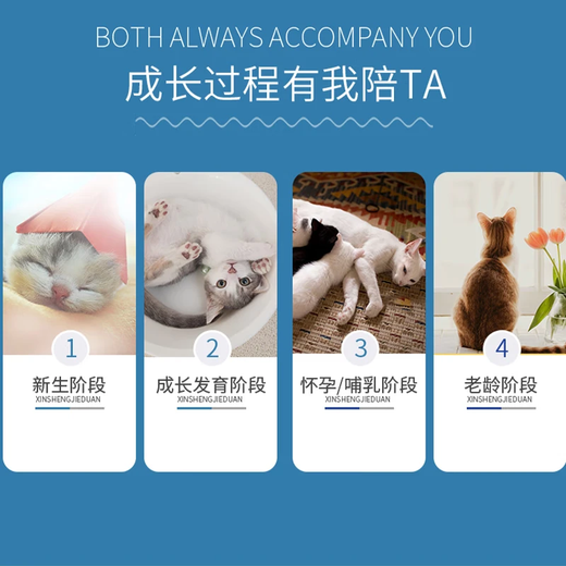 BOTH goat milk powder kitten milk powder anti-nasal branch lysine taurine formula goat milk powder 300g