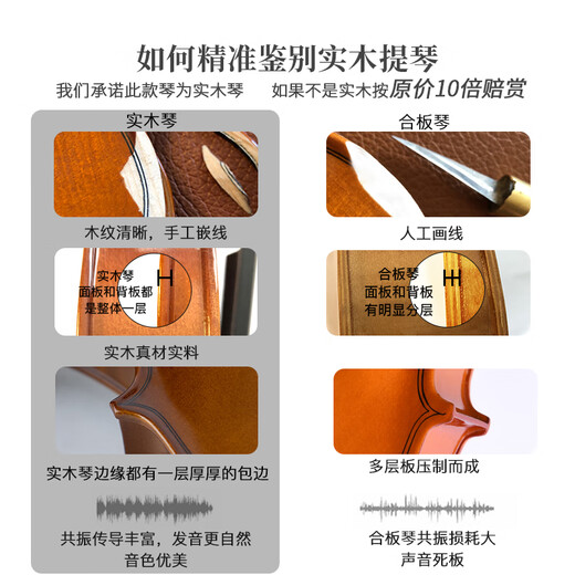 Taishu TV-010 Importé European Handmade Violin Professionnel Pure Enfants faits à la main pour débutants jouant au violon 1/8 Dark Brown adapté à la hauteur 105-120cm