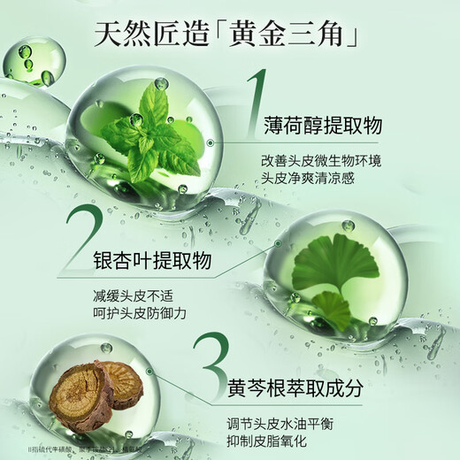 Shiseido Professional Hair Care Core Long-lasting Oil Control Restores Refreshing Hair without Makeup Fragrance Scalp Series Oil Control Shampoo 1L