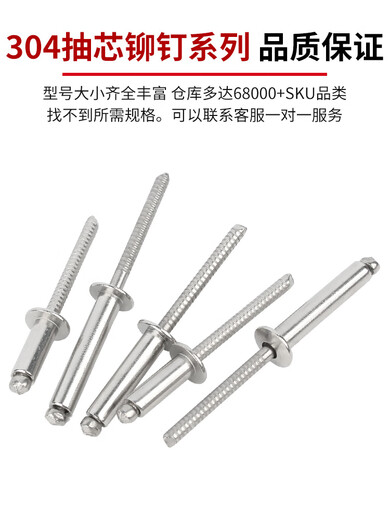 Guwanji Guwanji 304 Core en acier inoxydable Puriage Rivet Tirling Rivet Round Head Tiling Nails Slurry Head Tiling Nails Heart Tiling Decoration Nails Willow Nails 304 Contource