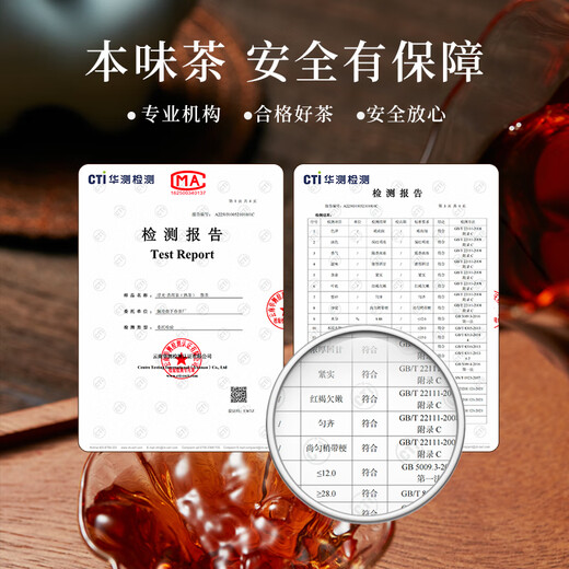景迈指下春茶叶普洱茶 云南景迈山“浮光” 陈香木气入口甜润 尝鲜装4g