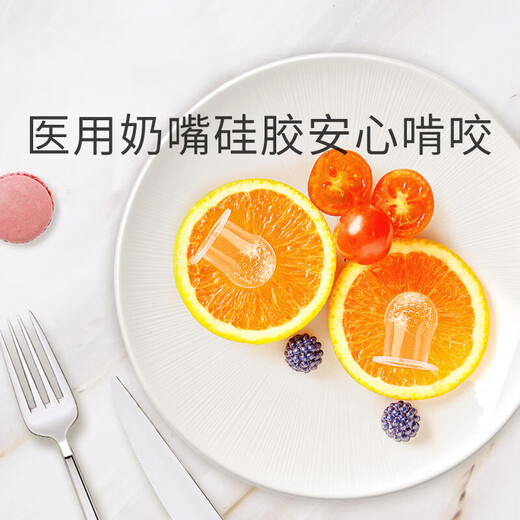 Qiaran Japanese baby chewing and eating fruit can push silicone food fruit and vegetable baby to eat fruit food supplement soothing teether chewing bag glacier blue 1 pack