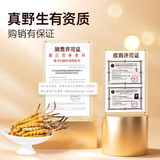 Ayishe Tibet Nagqu Wild Cordyceps about 4 roots/g 6 grams about 24 roots Cordyceps tonic for gifts for elders