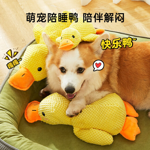 Crazy owner dog toys relieve boredom, pet puppies plush dolls, big dogs self-pleasure, teeth grinding and bite-resistant dog supplies