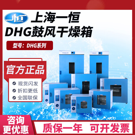 Yiheng Blow Dryer DHG-9070A Laboratory Electric Heating Constant Temperature Dryer Industrial Programmable Dryer DHG-9920A (1000 liter stainless steel inner liner)