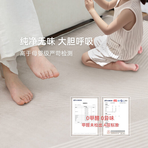 臣祥地毯客厅2025新款免洗可擦轻奢高级爬爬垫感厚津 清蔷-13566 240cm*400cm定制