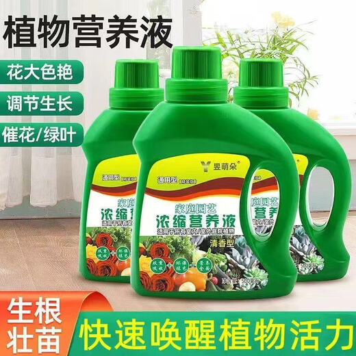 Nutrient solution plant universal flower fertilizer fortune tree rich bamboo green dill hydroponic potted household flower fertilizer universal nutrient solution 500g 2 bottles