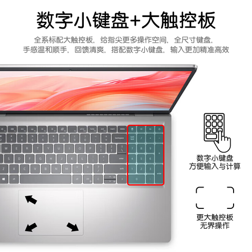 戴尔（DELL）笔记本电脑灵越15Pro 15.6英寸超极本学习办公游戏轻薄本便携商务家用手提 DC15250 Core3-100U UHD核显 【99%客户选择】32G内存 1TB固态 定制