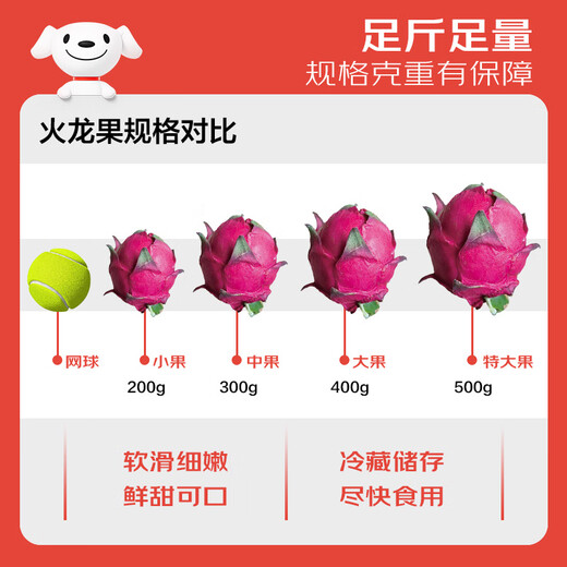 Jingxiansheng Red Heart Dragon Fruit Extra Large Fruit 4 pieces, single fruit 400g, net weight 3.2Jin Jin equals 0.5kg fresh fruit
