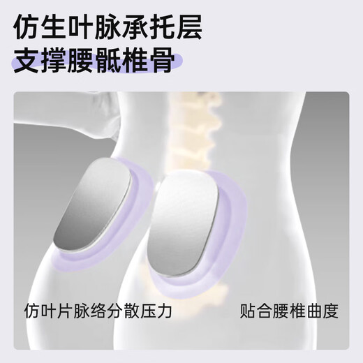 李宁护腰带腰间盘突出腰肌劳损医运动健身用久坐支撑腰托透气束腰女士