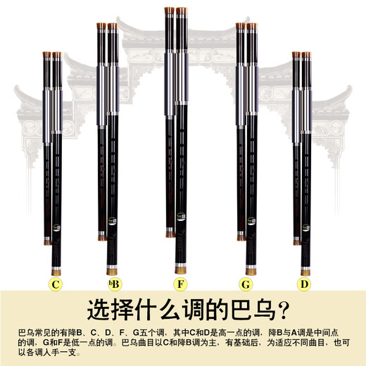 
Oubi ebony horizontal blowing bawu musical instrument flagship store c down BDFG adjustment dual-tube advanced brand adult professional performance grade ebony double-tube G/C adjustment