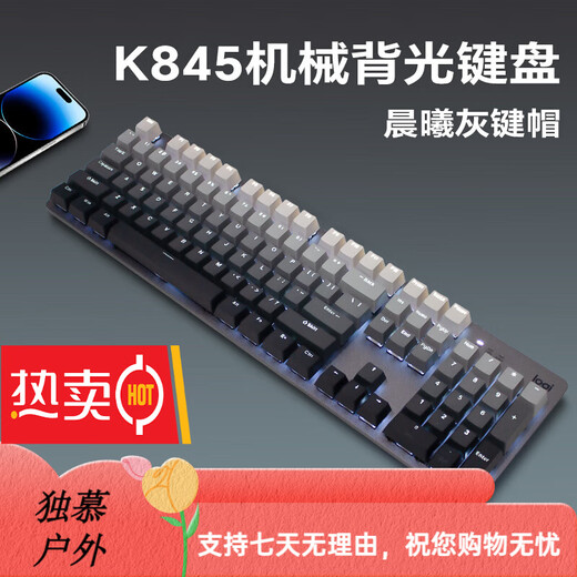 罗技（Logitech）K845机械键盘 有线键盘 办公电脑打字键盘  电竞游戏发光全尺寸个 罗技K845青轴晨曦灰