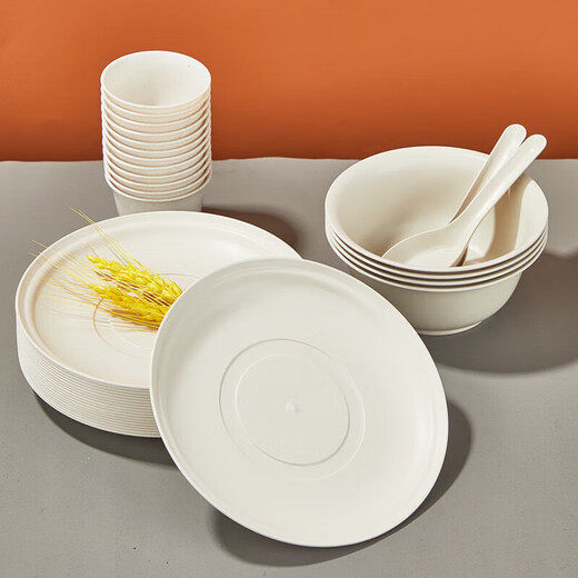 Mengting disposable plates, picnic plates, no-wash disposable tableware plates, 20 pieces