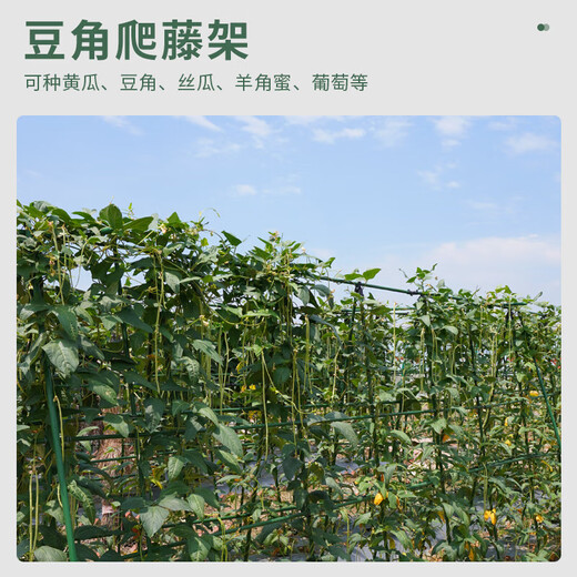园艺支柱包塑钢管支花架黄瓜豆角葡萄种菜植物爬藤架支撑杆绿植架 直径11mm 长度180cm【10支装】