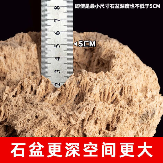 Absorbent stone flower pot, natural strange stone, absorbent stone, upper water stone, original stone, stone pot, calamus, succulent potted plant, bonsai micro landscape, absorbent stone, flower pot 13-17cm (no gifts)