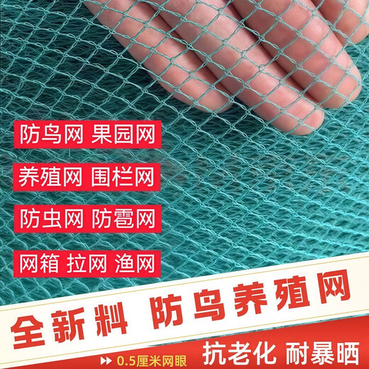 Orchard fruit tree anti-bird net fish pond breeding net chicken net fence protective net nylon fishing net anti-hail net knotless net 1 meter wide X 10 meters long 0.5 cm hole