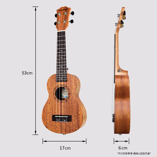 ODSK (AODSK) AUS-P06BL UKULELE UKLILI MÄNNER UND FÜR DIE JETZTEN STUDIONEN und Kinder Einführung in 21 Zoll Small Gitarre Rosemary Blue