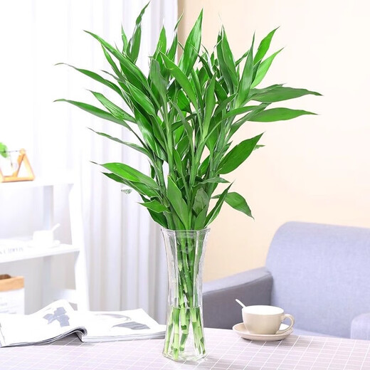 Lucky bamboo glass vase hexagonal living room water culture flower arrangement hydroponic lily vase large ornamental vase for home 25 high hexagonal vase tulip style 1