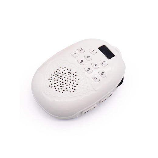 Mini mini player card charging player singing machine music machine golden Bodhi Fuhui Bodhi fruit 27 tracks (1396 songs containing 16G cards)