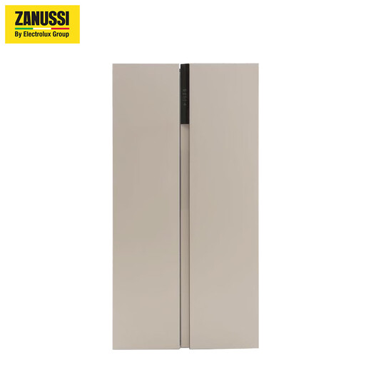 伊莱克斯（Electrolux）电冰箱智能多功能风冷无霜变频家用650升对开门冰箱ESE6629GD 质感银 650L