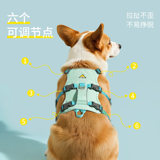 MIKI PAD Dog Leash Chest Harness Pet Dog Harness Vest Type Liftable Chest Harness Special Dog Leash for Large and Medium-sized Dogs Mist Green XS Applicable Bust 43-56cm