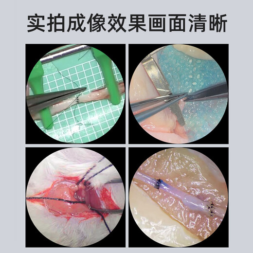 SOPTOP Sunny trinocular stereo microscope with computer 320W single-arm universal mouse dissection video microscope Sunny SZM7045-SZSTL1 double-arm microscope with camera