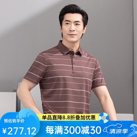 红都夏季新款男士短袖T恤商务休闲翻领簿款条纹微弹中年半袖t恤衫 咖色TA9226-2 XL (180/96A)