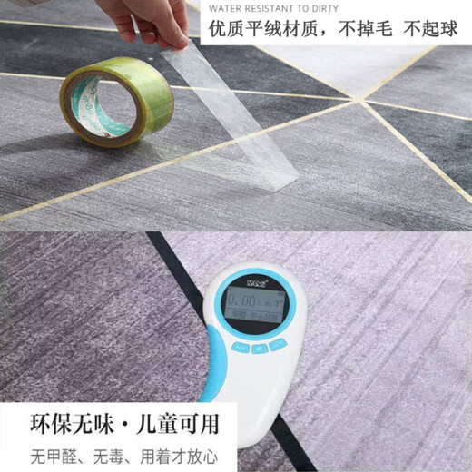 诗维蔻地毯客厅2025新款免洗可擦轻奢高级茶几毯家用隔音防滑耐脏免打理 1048 200cm*300cm