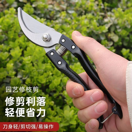 German craftsmanship imported steel branch shears, tree shears, fruit tree shears, pruning scissors for household flowers, trees and grapes to prune branches. Manufacturer provides welfare/loss impulse/not the main model. High carbon steel large shears. Extra sharp/100 times saving.