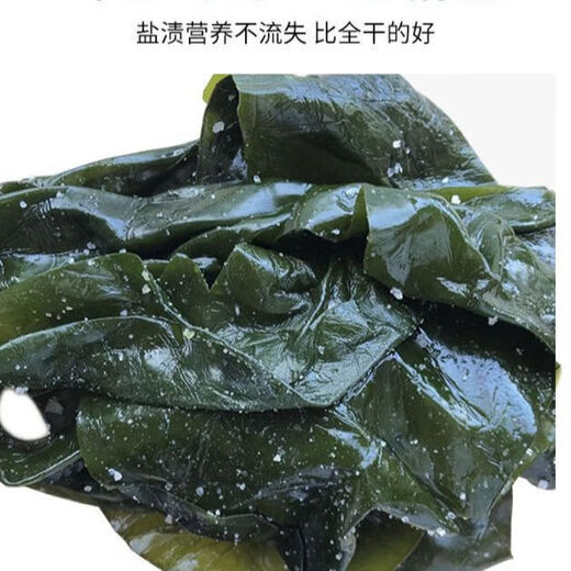 Xiapu fresh kelp, kelp silk, kelp head, hot pot stew and cold salad, salted whole kelp, 5 Jin Jin equals 0.5 kilogram (2500g)