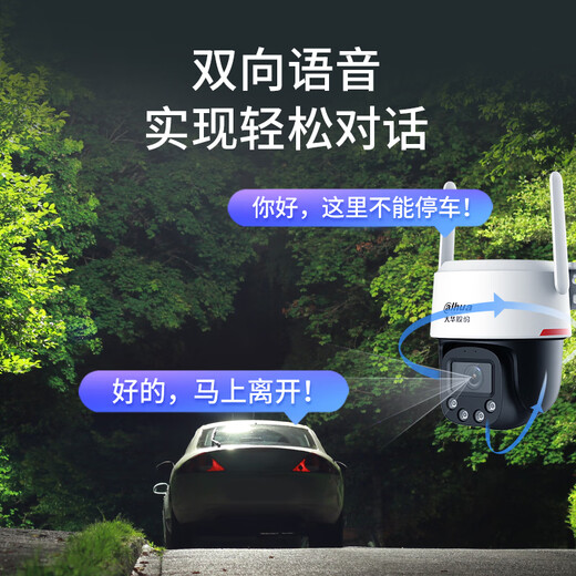 dahua大华4G终身免流量监控摄像头 4G全彩夜视王无需连wifi监控器室外户外手机远程360度高清全景P3E-4G