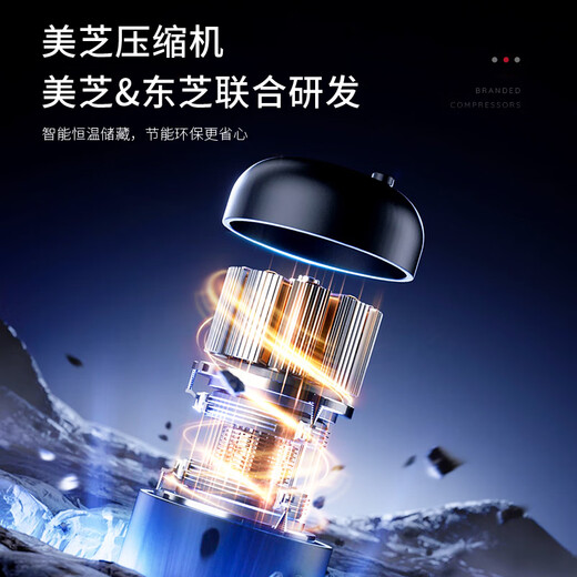 TYLZA 24 bottles small red wine cabinet constant temperature wine cabinet air-cooled frost-free wine red wine beverage refrigerator ice bar energy-saving silent home bedroom living room office TW-86 first-level energy efficiency air-cooled wine cabinet-metal shelf 24 bottles