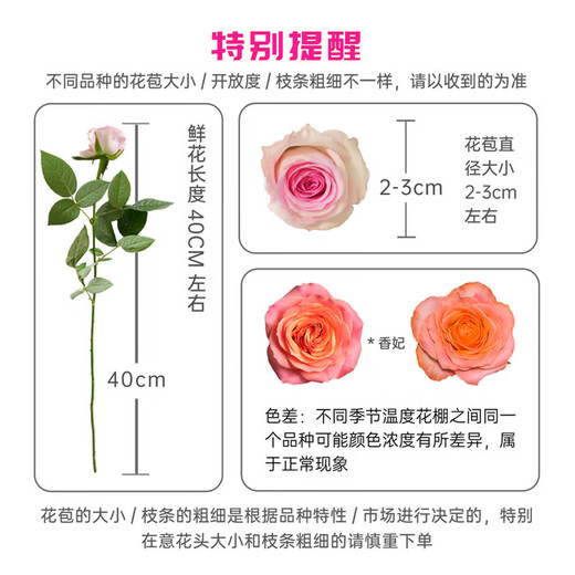 Jingdong Flowers (Zen Lotus Heart)-Kunming Flower Base Straight Hair Roses Lily Multi-head Bouquet Flowers Straight Hair Source