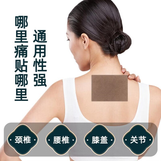 Hong Kong Pharmacy Panax Notoginseng Patch 10 tabletas/caja Penetración de extracción de hombro y cuello Hierb Herb Hot Hot Hot Lumbar Cervical Alivio KSN9898 Dos caja Pack