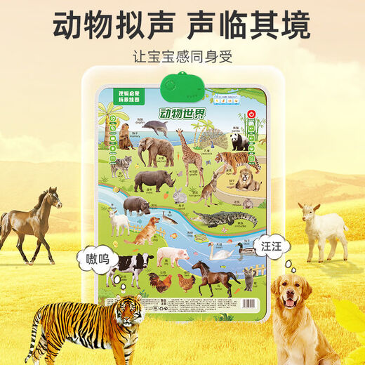Firefly Bunny Audio Early Education Affiche pour les enfants Corogtitive Voice Mur Sticker Sticker for Baby Education Illuminment Learnment Artefact Variety Pinyin + English Alphabet [Affiche audio]