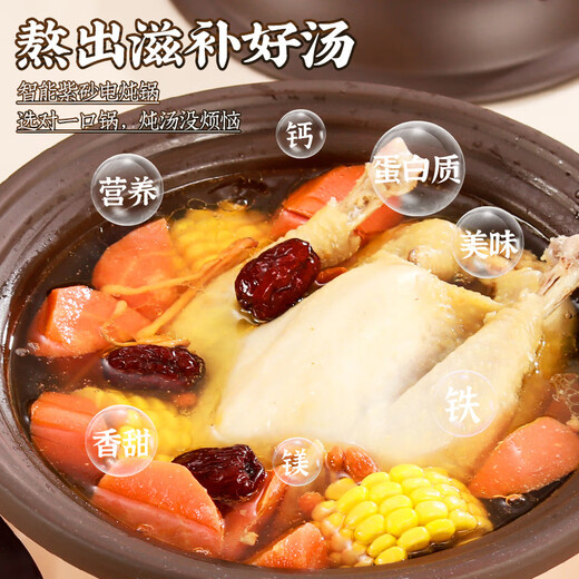 Yuanqu electric stew pot, household soup pot, electric casserole, porridge pot, food supplement pot, scheduled scheduled stew soup pot, fully automatic bird's nest health casserole, large capacity crock pot, stew pot, soup pot, plug-in, small, bear purple sand black, smart model, automatic heat preservation 2.5L (1-2 people), baby food supplement pot