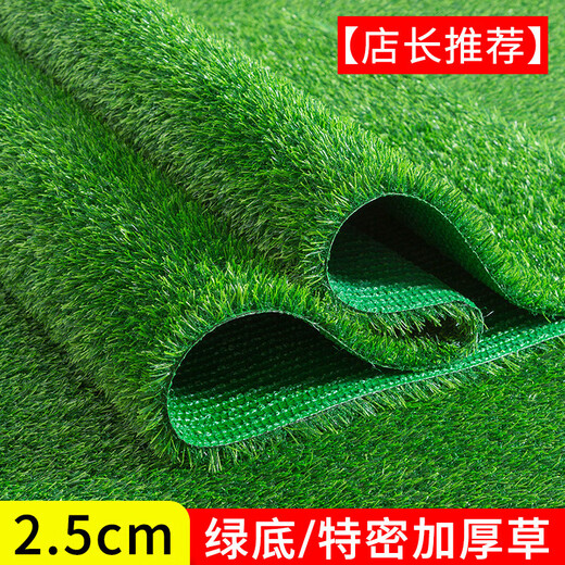 Fake lawn, simulated turf, green carpet, outdoor artificial plastic, artificial bionic outdoor insulation fence, football field, 2.5 cm thickened spring grass, 2 meters wide*4 meters long