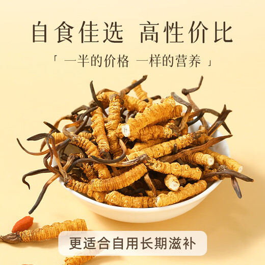 Ren Shiwenwen Wild Cordyceps sinensis, Tibet Naqu Broken Cordyceps selection quality, self-use and affordable family nourishment, high-end gift [wild] Selected Big Broken Grass 1 gram [Introduction to nourishment]