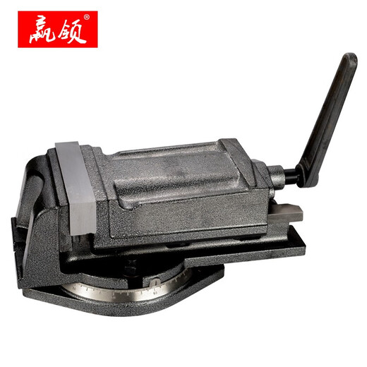 QH重型铣床机用平口钳 钻床精密角固式台钳4寸5寸6寸8寸 Q12250(高精美式)
