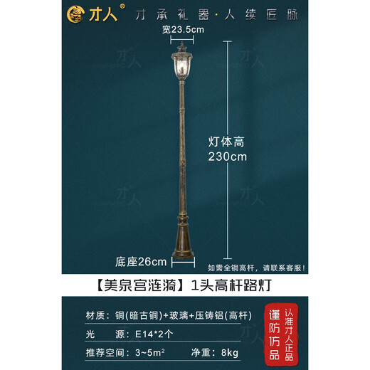 才人欧式庭院灯别墅花园景观灯室外防水路灯小区院子高杆灯 1头高杆灯（ALC-9856-1）