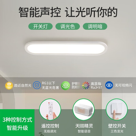Grand View Garden Asle Light Corridor Light LED plafond Light moderne Modern Nordic Long Living Room Light Study Balcon lampe 263 3892-White 40cm-Three Couleurs 16W-Full Spectre