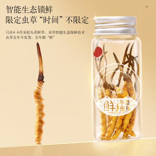 Tongrentang Brand Beijing Tongrentang Fresh Cordyceps Cordyceps Fresh Cordyceps Boîte cadeau Unbreakable Grass Cadeaux aux anciens 1 boîte 81G 3A Cordyceps frais 100 0,8-1g / pièce / pièce