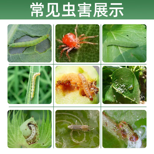 Guoguang 1.8% abamectin pesticide for flowers, vegetables, fruit trees, rose flower diseases, aphids, red spider pesticides 100ml