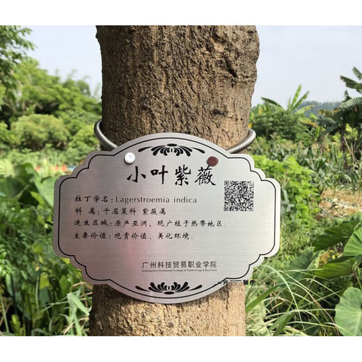 Letrero de árbol hecho a medida de acero inoxidable metal plantas verdes letrero ecológico patio flores y árboles introducción adopción plug-in acero inoxidable 20*15