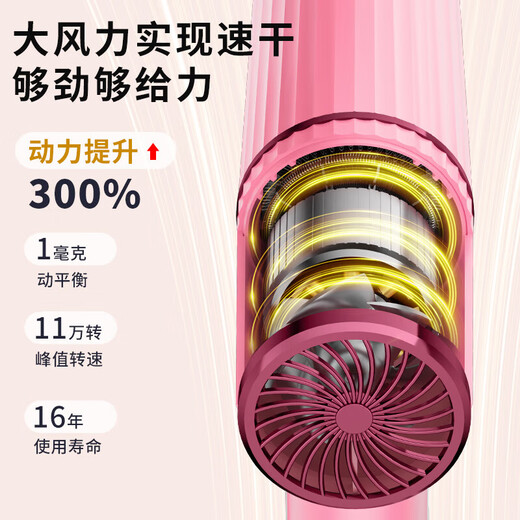 Hair dryer for home dormitory students negative ion blue hair care strong wind hot and cold air hair dryer unified professional version 6000 strong wind charm gray